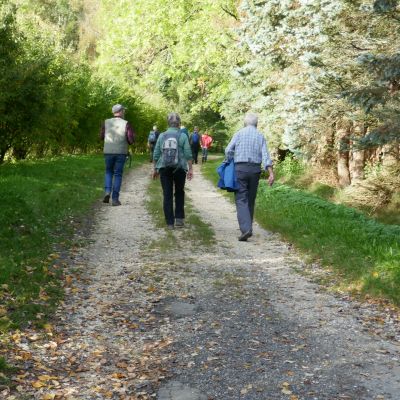 P006 beim Sonnenhof auf 523m 